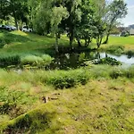Black Forest Kuckucksnest Mit Pool, Wifi, Seeblick In Appartement Schönwalde