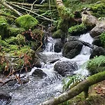 Black Forest Kuckucksnest Mit Pool, Wifi, Seeblick In Schönwalde