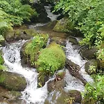 Black Forest Kuckucksnest Mit Pool, Wifi, Seeblick In Lejlighed *