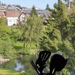 Black Forest Kuckucksnest Mit Pool, Wifi, Seeblick In * Schönwalde