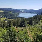 Black Forest Kuckucksnest Mit Pool, Wifi, Seeblick In Appartement *