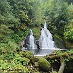 Black Forest Kuckucksnest Mit Pool, Wifi, Seeblick In Appartement