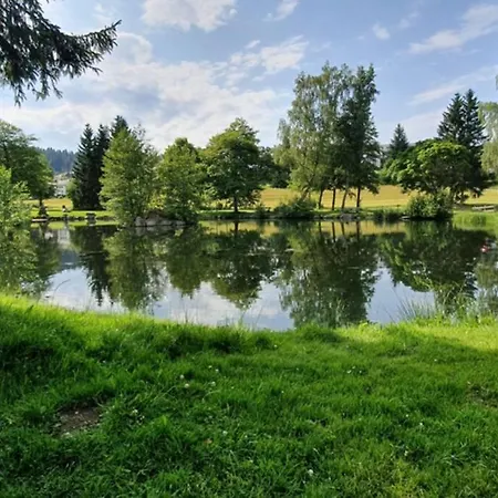 Black Forest Kuckucksnest Mit Pool, Wifi, Seeblick In Schoenwald im Schwarzwald