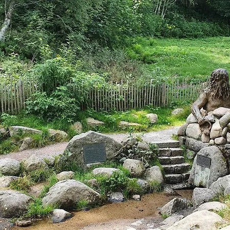 Black Forest Kuckucksnest Mit Pool, Wifi, Seeblick In Schoenwald im Schwarzwald