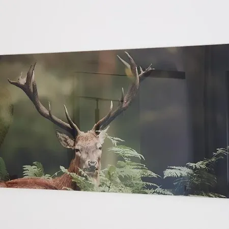 Black Forest Kuckucksnest *