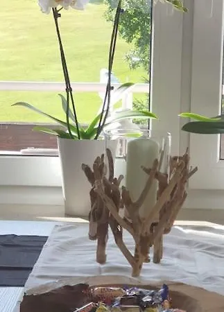 Apartment Black Forest Kuckucksnest Mit Pool, Wifi, Seeblick In