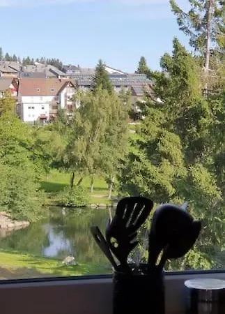 Black Forest Kuckucksnest Mit Pool, Wifi, Seeblick In * Schoenwald im Schwarzwald