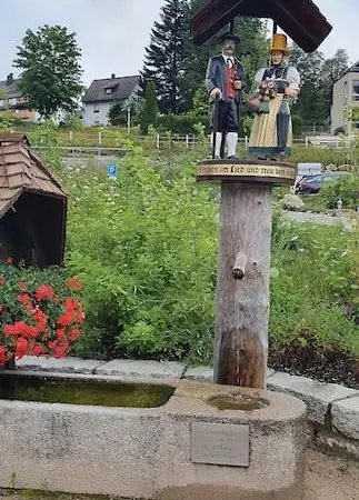 Apartment Black Forest Kuckucksnest Mit Pool, Wifi, Seeblick In *