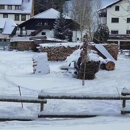 Apartman Black Forest Kuckucksnest