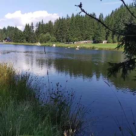 Black Forest Kuckucksnest Mit Pool, Wifi, Seeblick In *