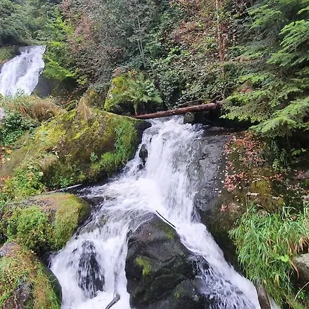 Black Forest Kuckucksnest Mit Pool, Wifi, Seeblick In Schönwalde