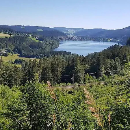 Black Forest Kuckucksnest Mit Pool, Wifi, Seeblick In Lägenhet *