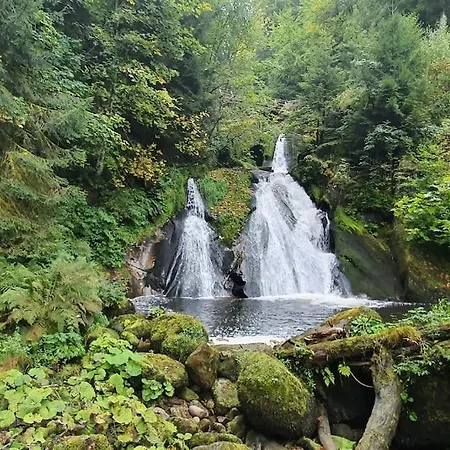 Black Forest Kuckucksnest Mit Pool, Wifi, Seeblick In Apartment