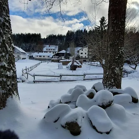 Apartment Black Forest Kuckucksnest