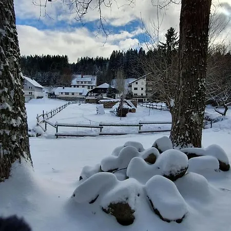 Apartman Black Forest Kuckucksnest