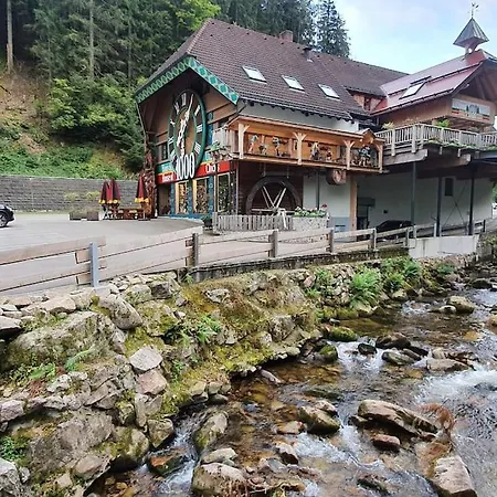 Black Forest Kuckucksnest Mit Pool, Wifi, Seeblick In Appartement *