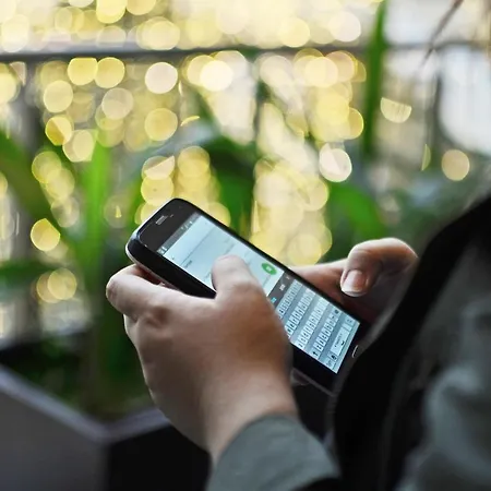 Black Forest Kuckucksnest *